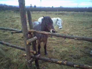 muj bubásek s týnuší